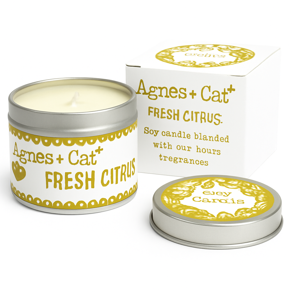 Lumaysa Citrus Glow fresh citrus soy candle in reusable tin with luxury packaging on white background
